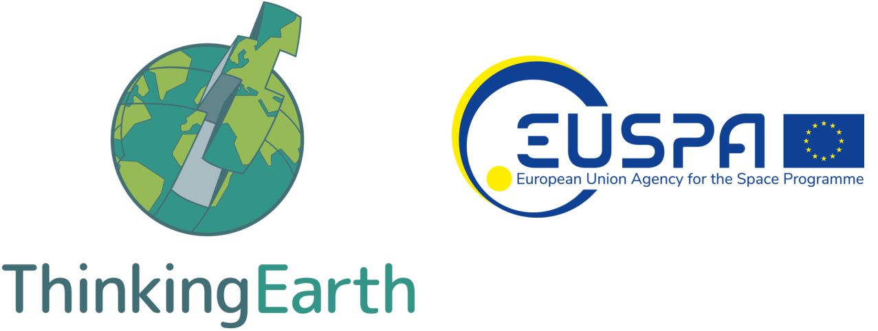 Thinking Earth Logo