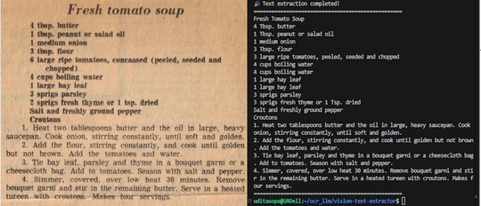 Vision Text Extractor