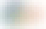 🌍 Meta-Skills for Cross-Domain Fluency